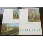 1966 год Ленинград