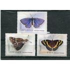 ЮАР. Фауна. Бабочки