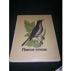 Набор спичек