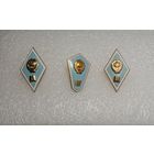 Значок - ромб об окончании гуманитарного учебного заведения.