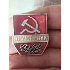 Дружинник