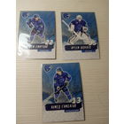 ХК ВИТЕБСК. : Шпилев. Смирнов. Гимбатов