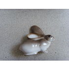 Заяц . Кролик . ЛФЗ