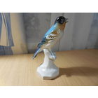 Фарфоровая статуэтка . Зяблик. Германия.