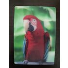 Календарик стерео 3 D Попугай 2020г