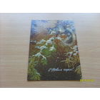 С Новым годом  худ. Исаков  1982 год