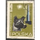 Польша 1964. Полет в космос собаки Лайки. Марка из серии