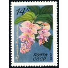 Тропические и субтропические растения СССР 1971 год 1 марка