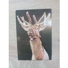 Календарик 1992-93