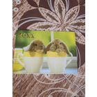 Календарик,кролик,2011