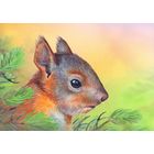 Беларусь 2020 посткроссинг открытка фауна бельчонок