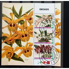 ФЛОРА ЦВЕТЫ РАСТЕНИЯ   БЛОК сто