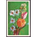 1977 год Г.Костенко С днём рождения!