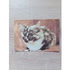 Календарик 1993