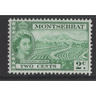 Монтсеррат 1964 ** марка из серии (SG 157)