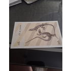 ЛИТВА 1 талон 1991 год