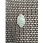 Чешуйка4 Михаил Федорович