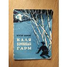 В.Шымук"Каля броннай гары"\041