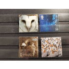 Великобритания 2000г. Выше и дальше **