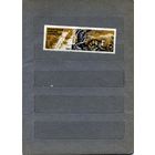 СССР, 1967 ,ЗАПОВЕДНИК КЕДРОВАЯ ПАДЬ **, серия 1м, чистая