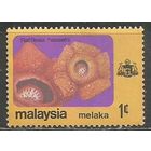 Малайские штаты(Малака). Цветы. Раффлезия. 1979г. Mi#80.