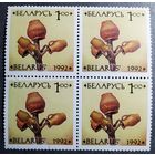 Марки Беларусь 1992 год Керамика