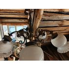 Ретро люстра