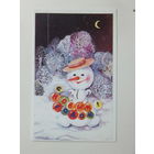 Величкина с новым годом 1987  9х14 см