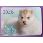 Собака.  Календарик, глянец, 2026.ТРАСКО