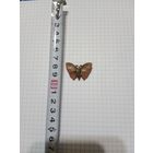 Ретро брошь - заколка бабочка, латунь.