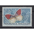 Французский Мадагаскар (MALGACHE) 1960*  Фауна Насекомые Бабочки (Mi#445)
