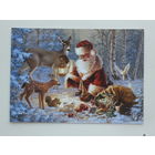 Финляндия  с новым годом 2015   10х15    см