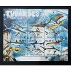 ФАУНА РЫБЫ МОРСКИЕ ОБИТАТЕЛИ    БЛОК  сто