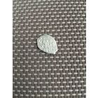 Чешуйка5 Михаила Федоровича