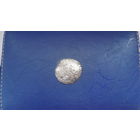 Пражский грош (1378-1419)                              (654)