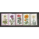 ФФ1 ФРГ 1975 Цветы