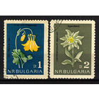 1963 Болгария. Цветы