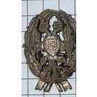 Кокарда, петличный знак РИ
