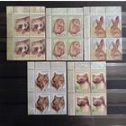 Беларусь 2008, 11-й стандарт, Дикие животные, фауна, серия в квартах, офсет, КМ 733/37