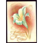 1984 год В.Воронин Поздравляю!