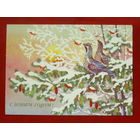 С Новым годом! Чистая. 1989 года. Базаров. 892.