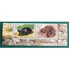 2003 Рептилии Беларусь