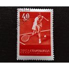 Марка СССР 1956 год Спартакиада
