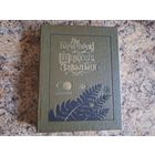 Шляхціц Завальня