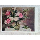 Яковлева. Пионы