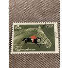 СССР 1968. Породы лошадей. Буденновская. Марка из серии