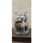 Домовой в банке из-под варенья, Германия