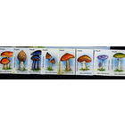 Ангола Грибы 1999    MNH