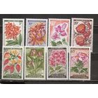 ФФ1 Кот ди Вуар 1961 Цветы