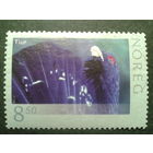 Норвегия 2006 фауна